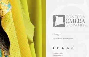 Chanel 完成对意大利制革厂 Conceria Gaiera Giovanni 的收购